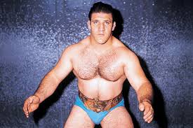 HBO's "André The Giant", ESPN's 30 for 30 "The Nature Boy"...What about Bruno?